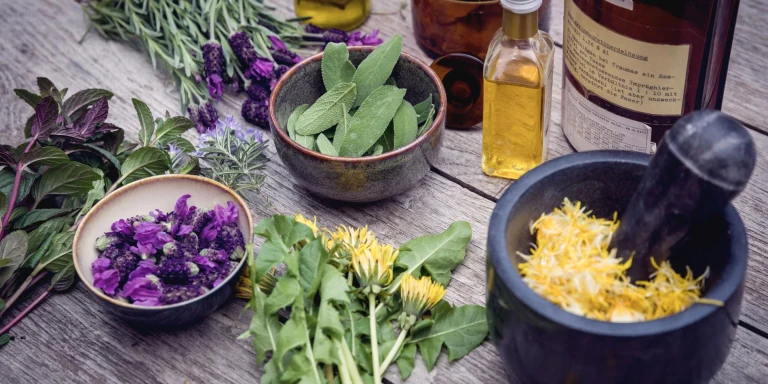 Various herbs and medicinal plants