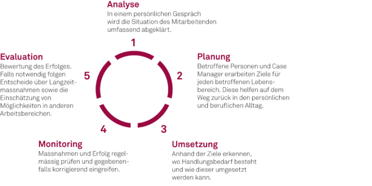 Grafik zum Vorgehen eines Case Managers