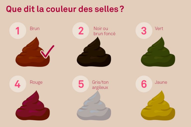 Ce que révèle la couleur des selles