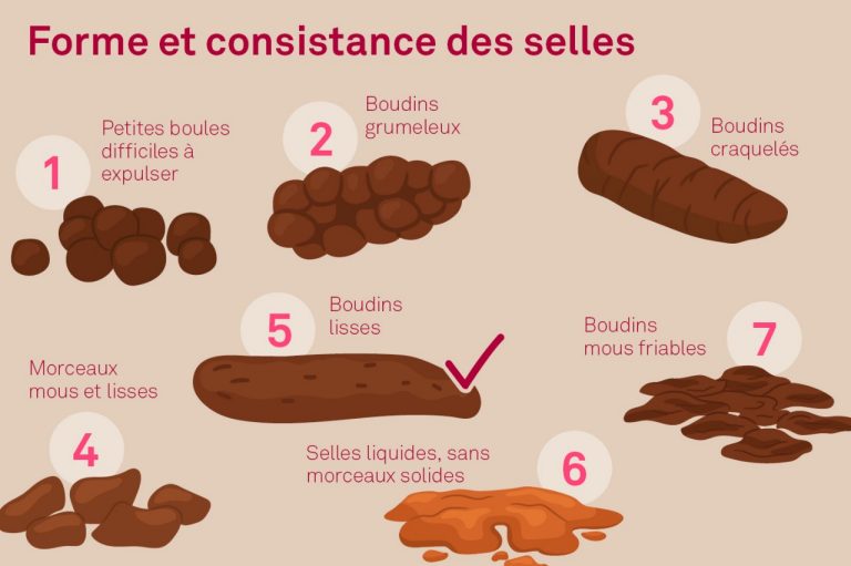 Forme et consistance des selles